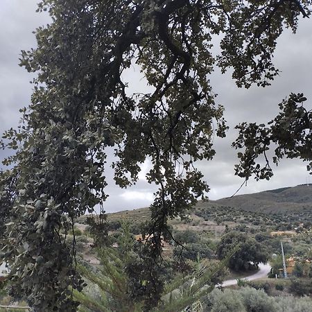 فيلا Casa La Colina Mandarina II Casa De Madera Tahal المظهر الخارجي الصورة