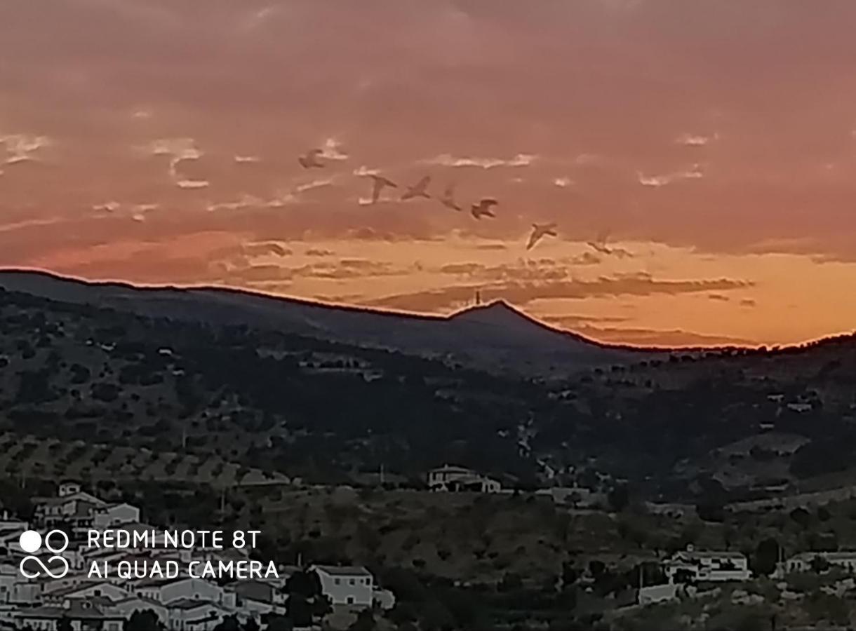 فيلا Casa La Colina Mandarina II Casa De Madera Tahal المظهر الخارجي الصورة