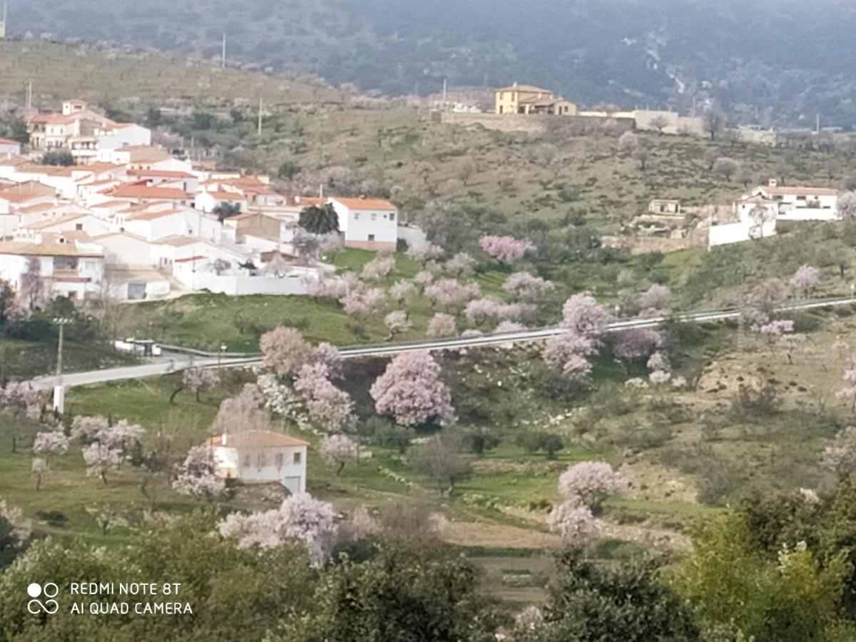 فيلا Casa La Colina Mandarina II Casa De Madera Tahal المظهر الخارجي الصورة