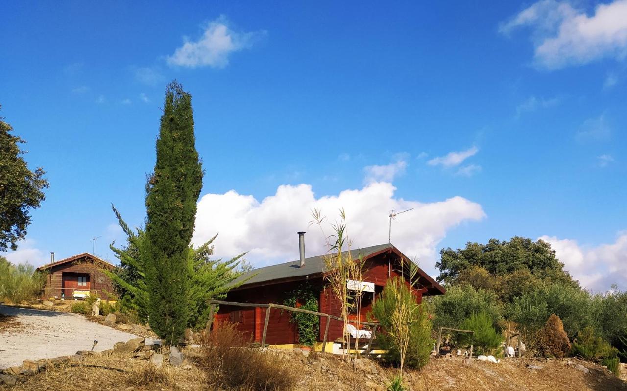 فيلا Casa La Colina Mandarina II Casa De Madera Tahal المظهر الخارجي الصورة