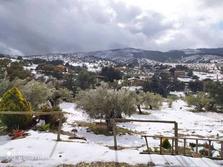 فيلا Casa La Colina Mandarina II Casa De Madera Tahal المظهر الخارجي الصورة