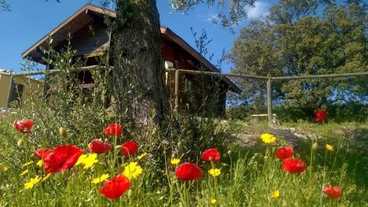 فيلا Casa La Colina Mandarina II Casa De Madera Tahal المظهر الخارجي الصورة