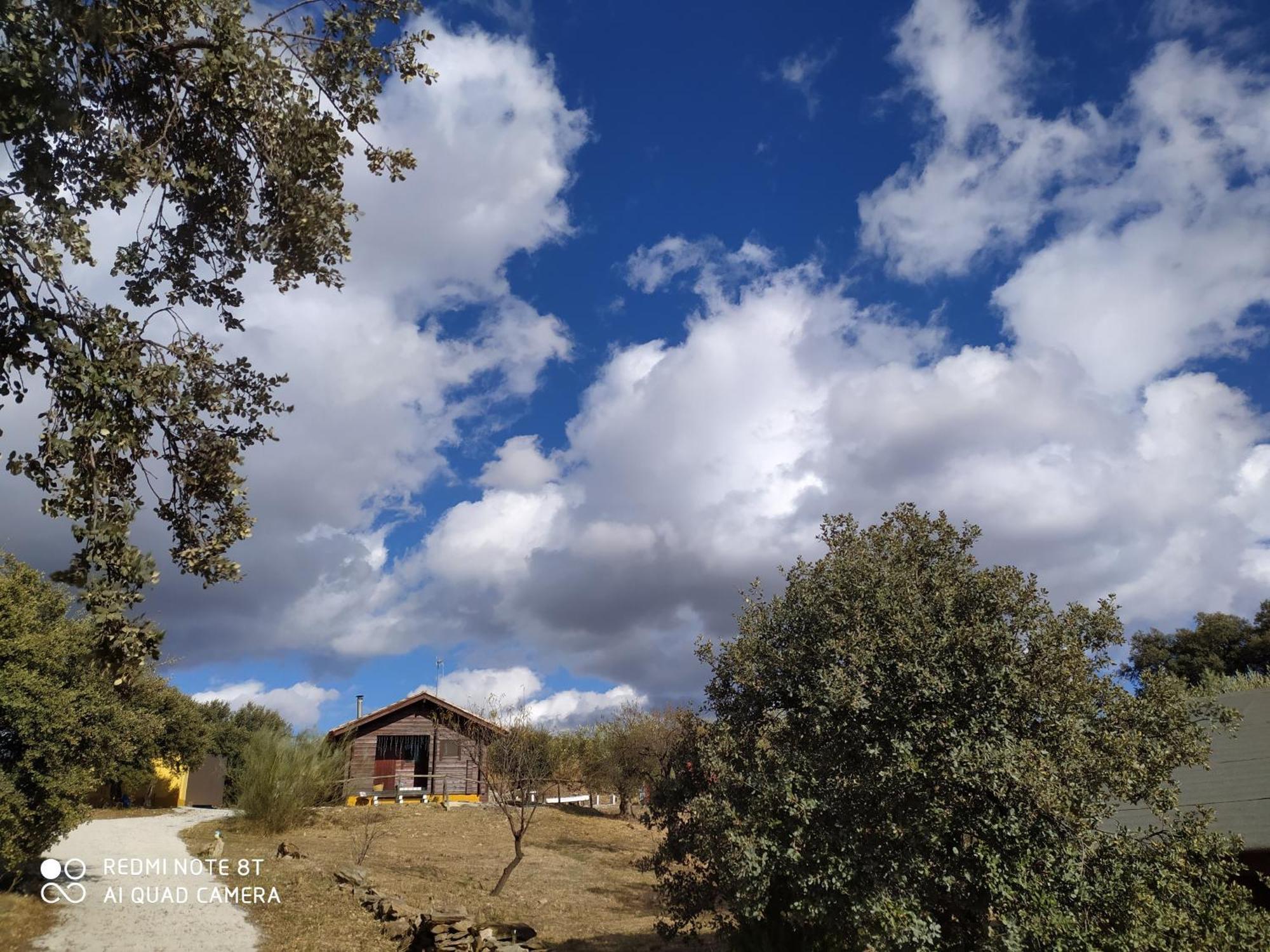 فيلا Casa La Colina Mandarina II Casa De Madera Tahal المظهر الخارجي الصورة