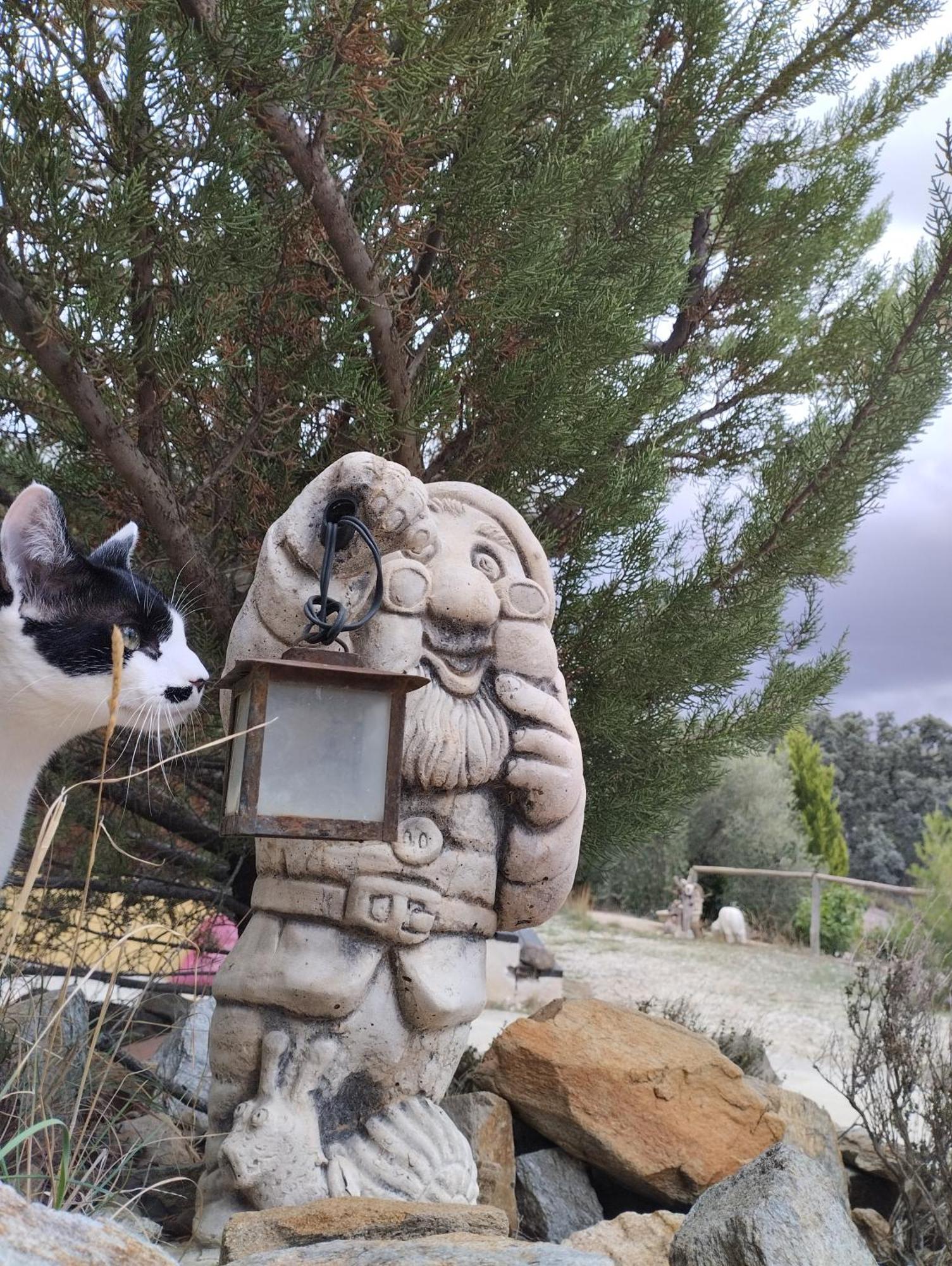 فيلا Casa La Colina Mandarina II Casa De Madera Tahal المظهر الخارجي الصورة