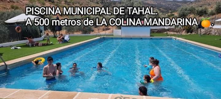 فيلا Casa La Colina Mandarina II Casa De Madera Tahal المظهر الخارجي الصورة