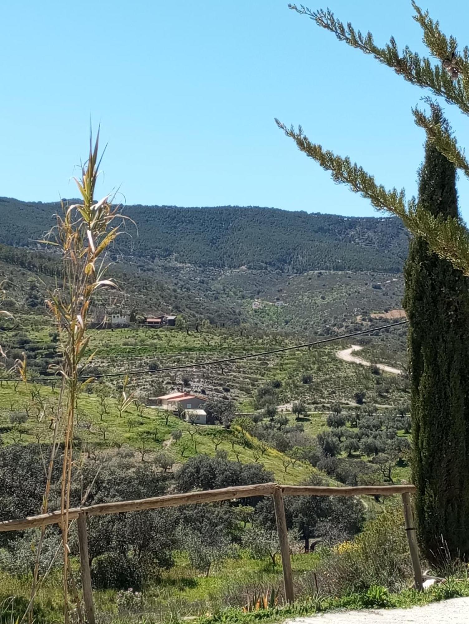 فيلا Casa La Colina Mandarina II Casa De Madera Tahal المظهر الخارجي الصورة