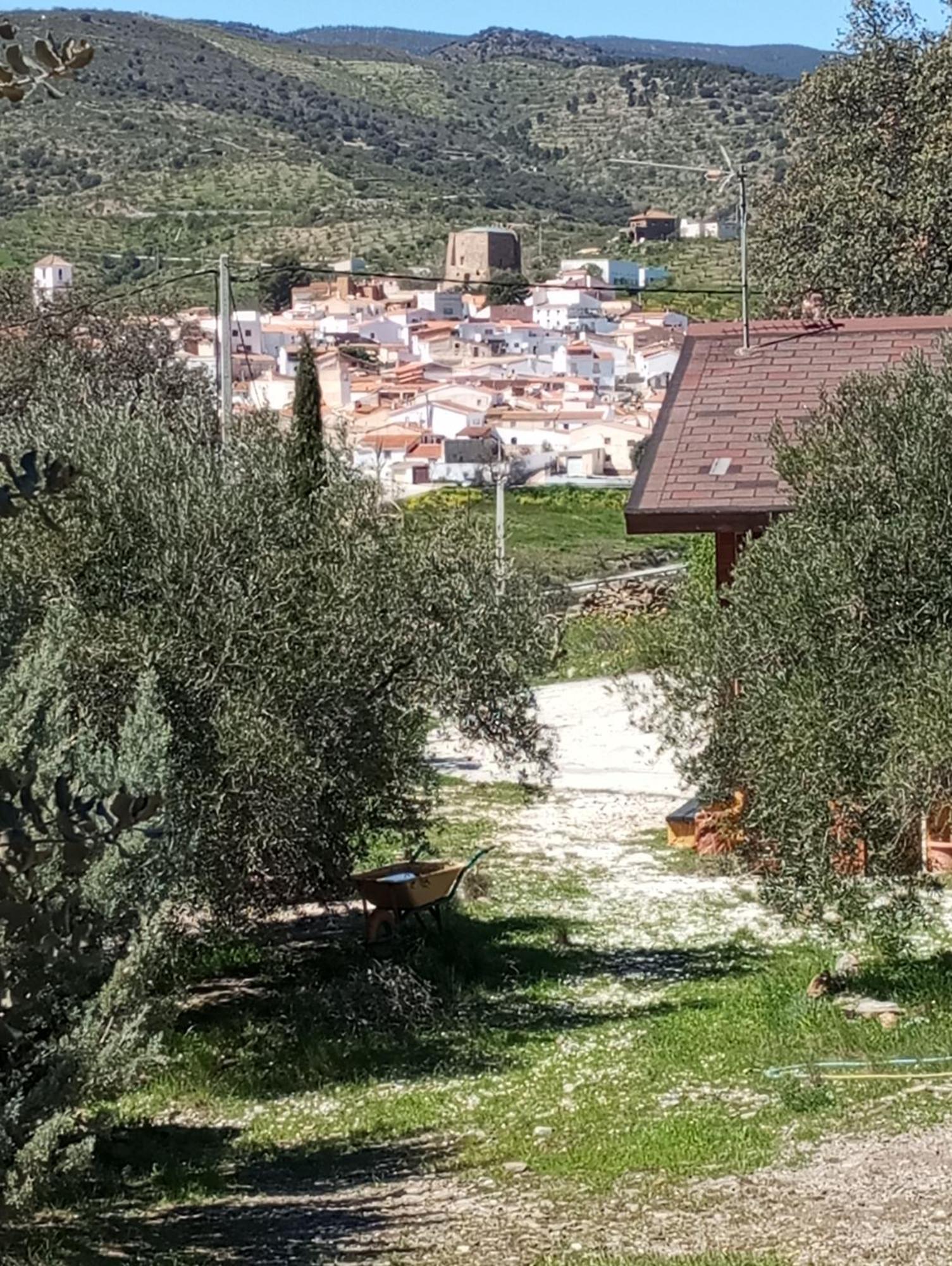 فيلا Casa La Colina Mandarina II Casa De Madera Tahal المظهر الخارجي الصورة